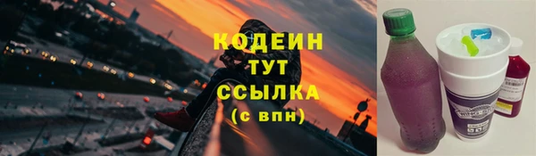 гашик Бородино