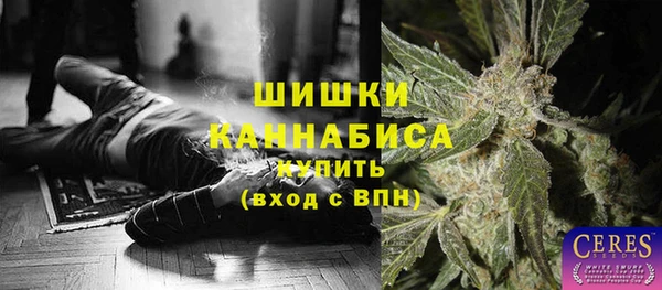 гашик Бородино