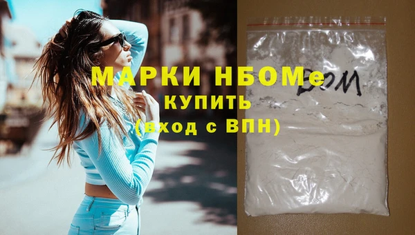 гашик Бородино
