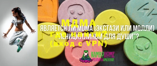 гашик Бородино